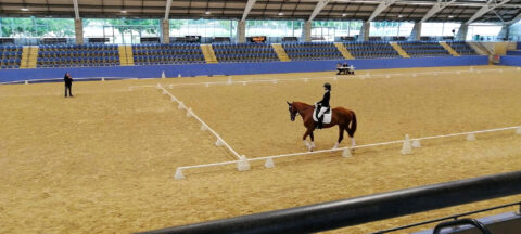 RDA (NSW) Dressage and Mounted Games Championships 2025