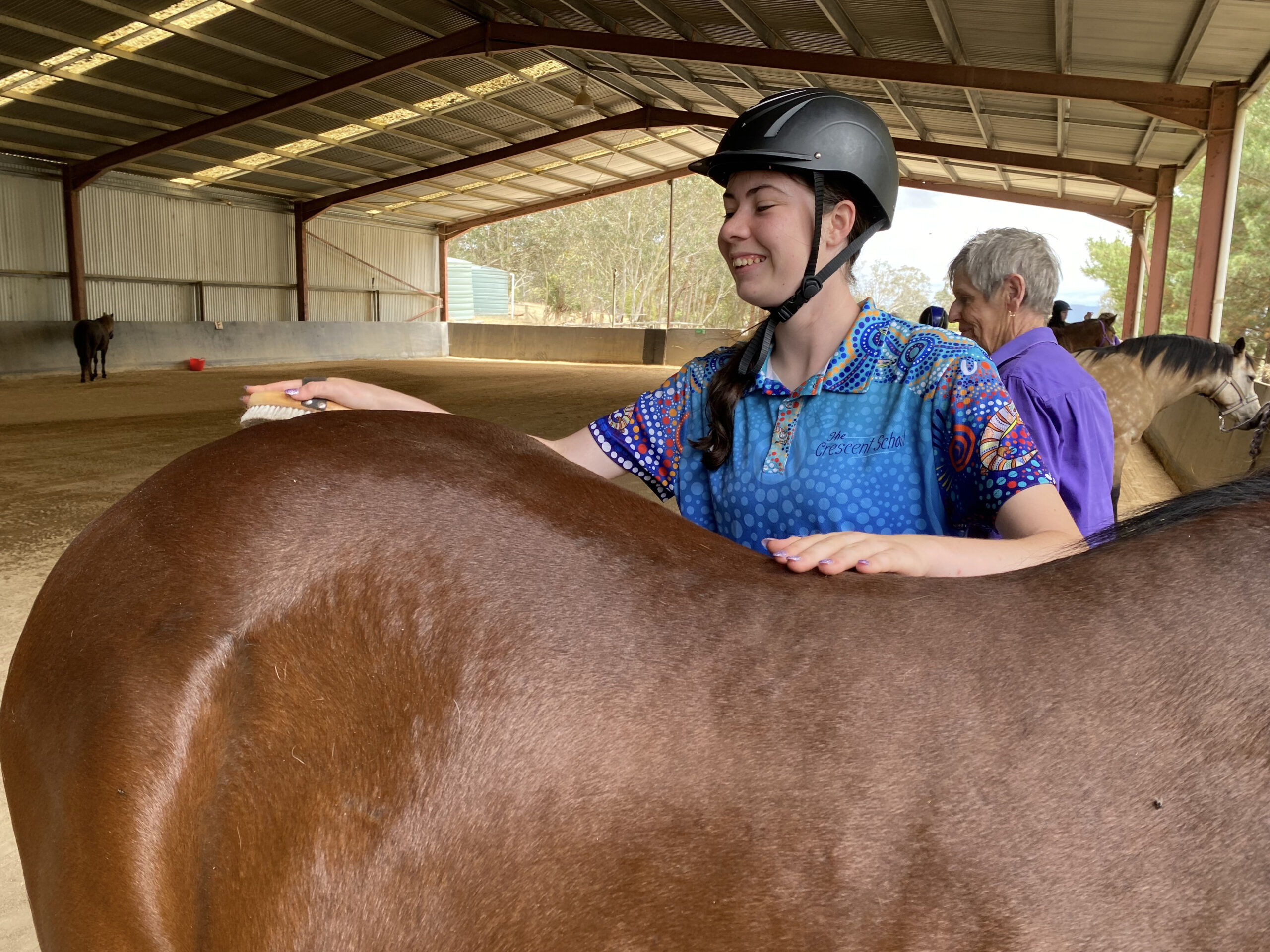 girl grooming horse