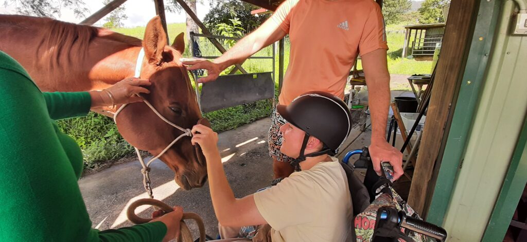 Equine therarpy - boy patting a horse