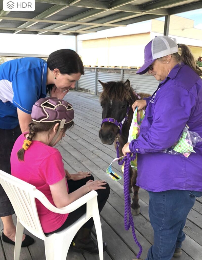 Shetland pony saying hello to a participant